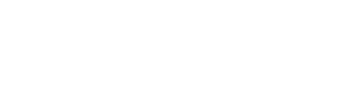 BNP Paribas Logo
